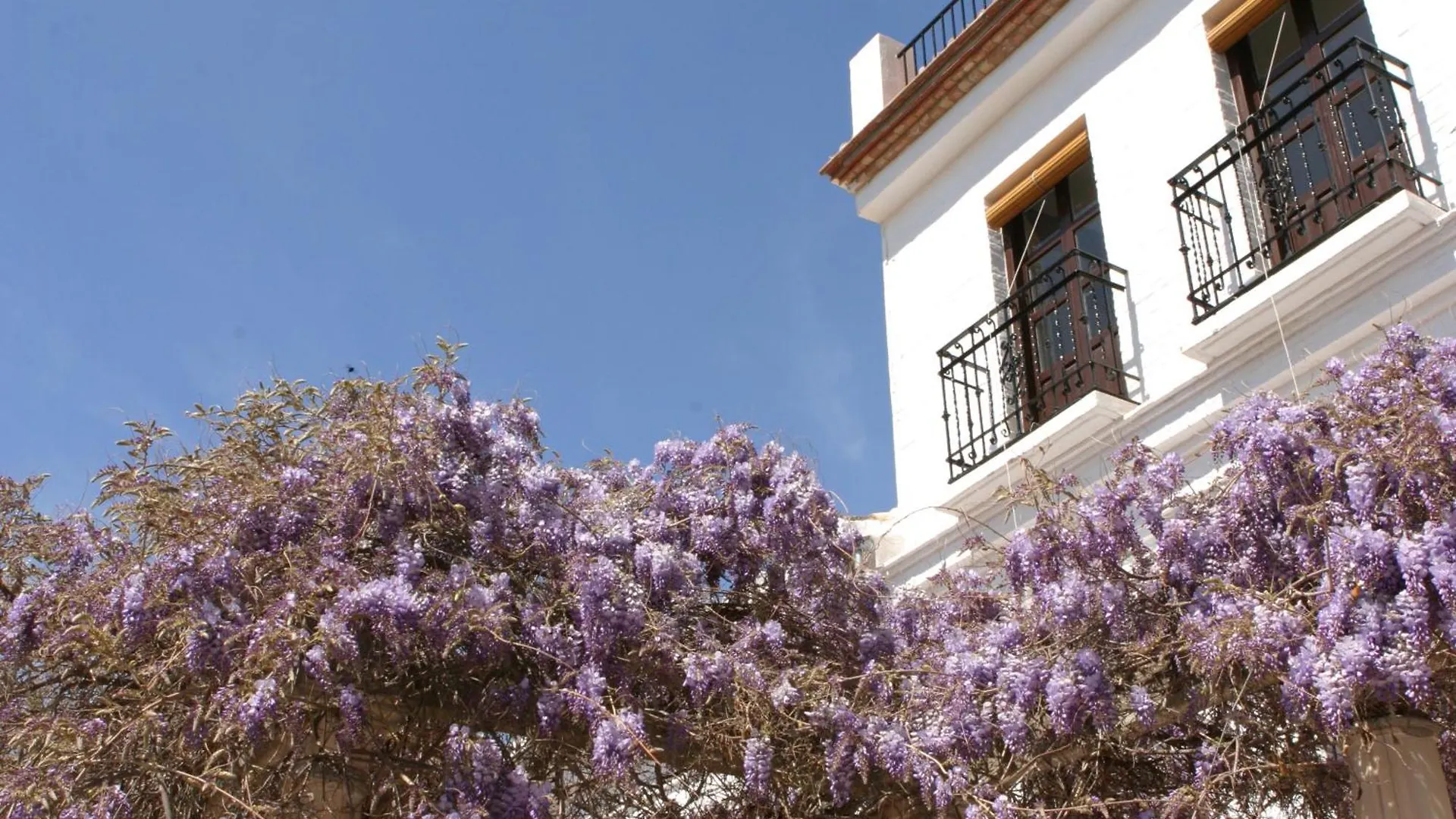 ***  Hotel Carmen de la Alcubilla del Caracol Granada España